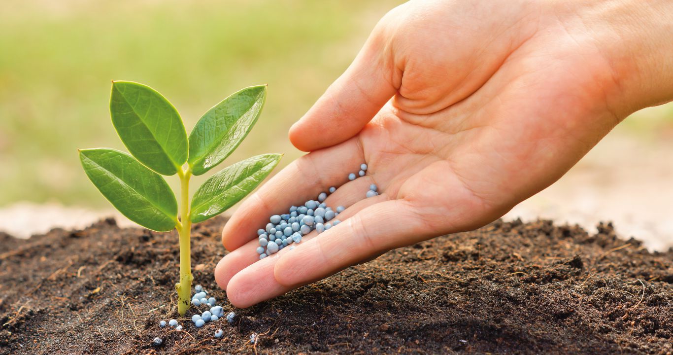 Demanda por fertilizantes deve crescer em 2019