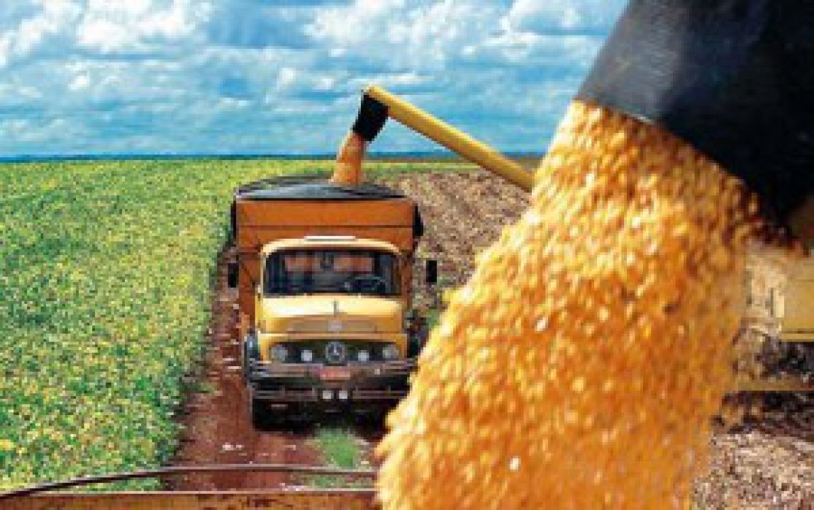 Conab contrata frete para remoção de 8,4 mil toneladas de milho para Norte e Nordeste