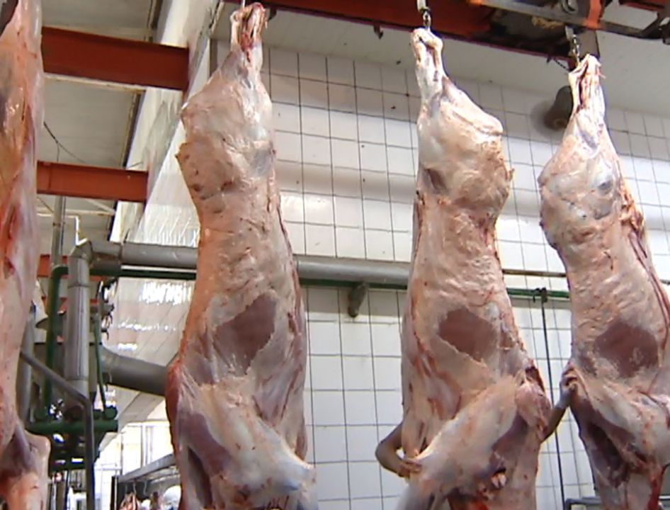 Mato Grosso passa a ser líder no ranking de produtividade 