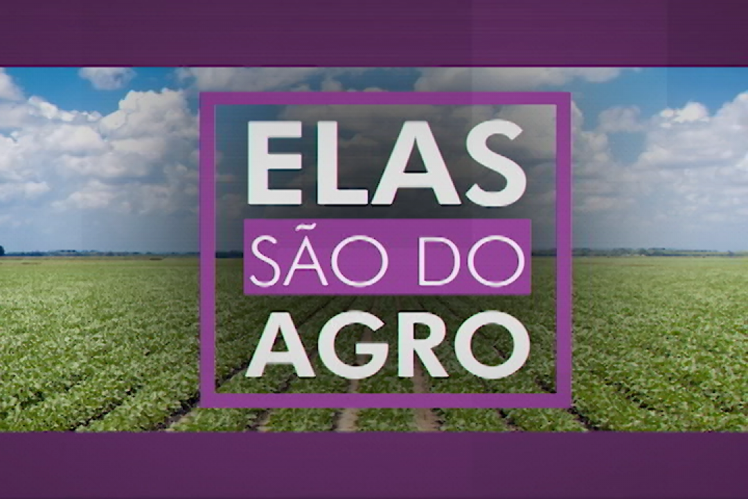 Canal do Boi conta com programação especial 