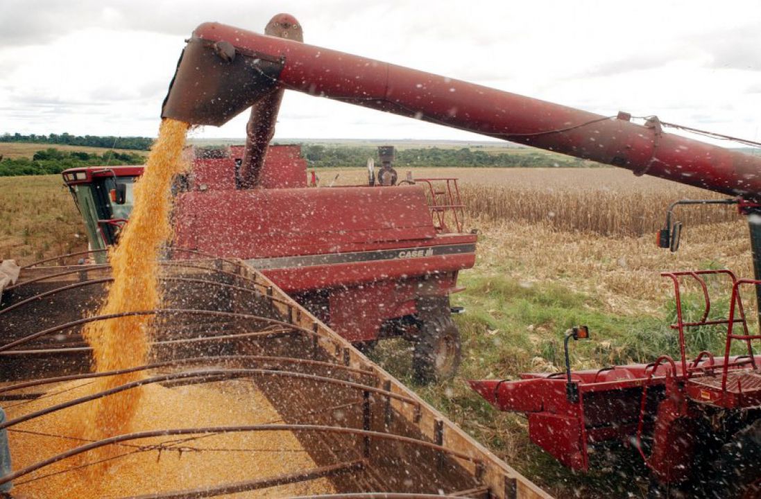 Valor da Produção Agropecuária é estimado em R$ 572,9 bilhões