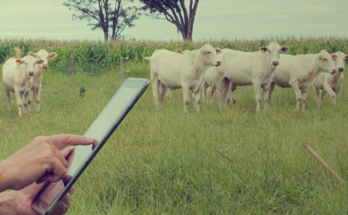 Tecnologia impulsiona agronegócio no Brasil
