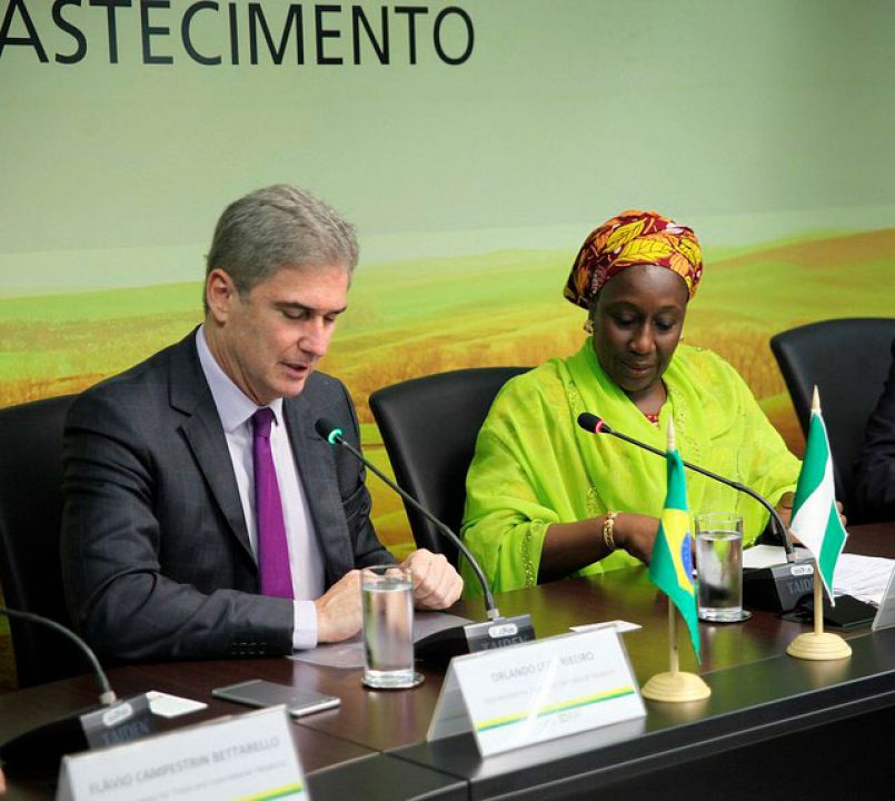 Ministra da Indústria, Comércio e Investimento da Nigéria é recebida pelo Mapa