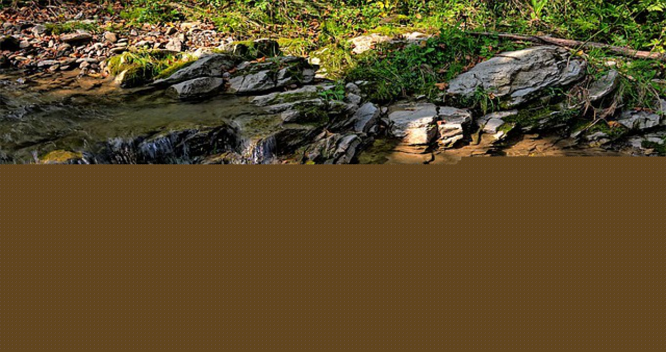 Projeto aponta que mais de 90% das nascentes de MT estão intactas