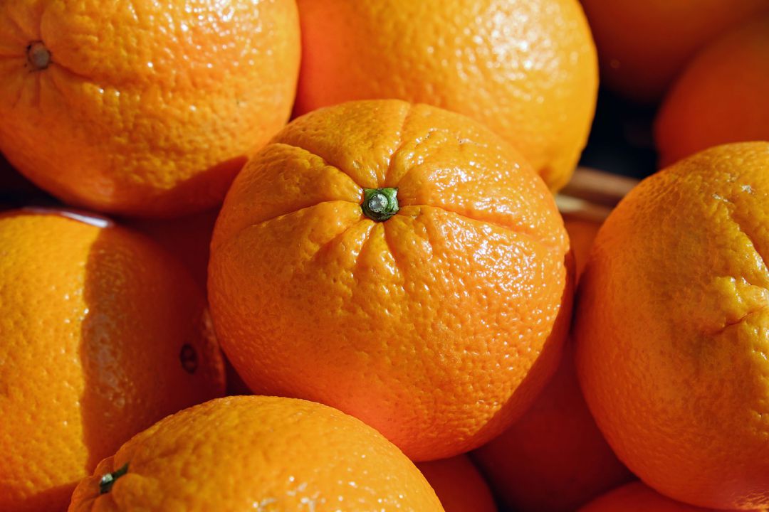 Laranjas precoces pressionam cotações 