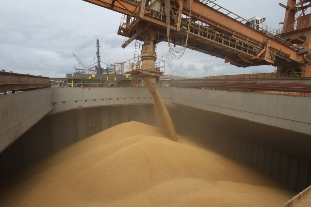 Brasil pode embarcar 11 milhões de toneladas de soja em março
