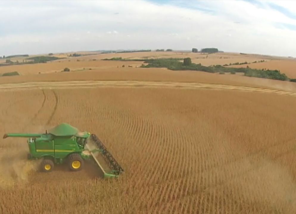 PIB do Agro paulista aponta baixa de 5,73% em 2018