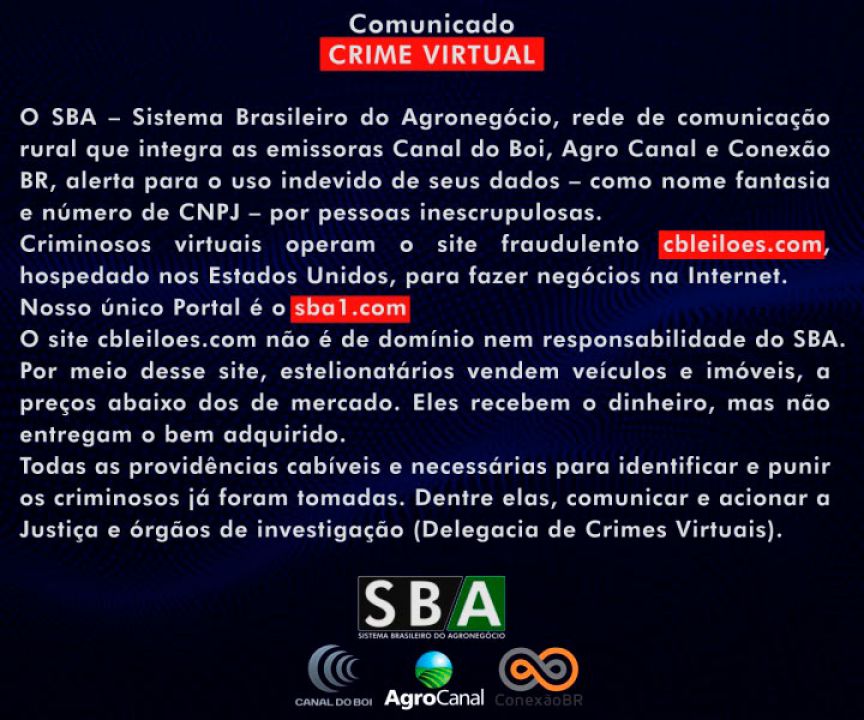 Site criminoso vende veículos e imóveis pela internet