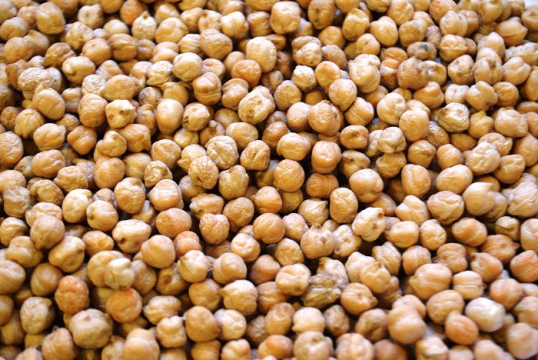 Começa inscrição para produtores interessados em sementes de grão-de-bico 