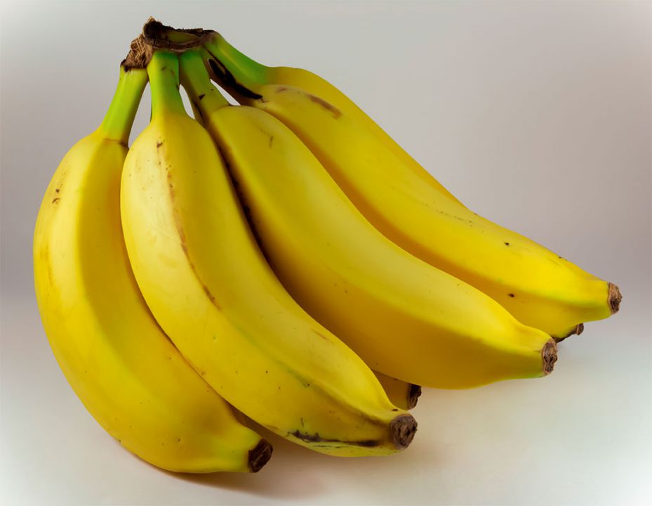Colheita da banana é retomada em São Paulo e Santa Catarina 