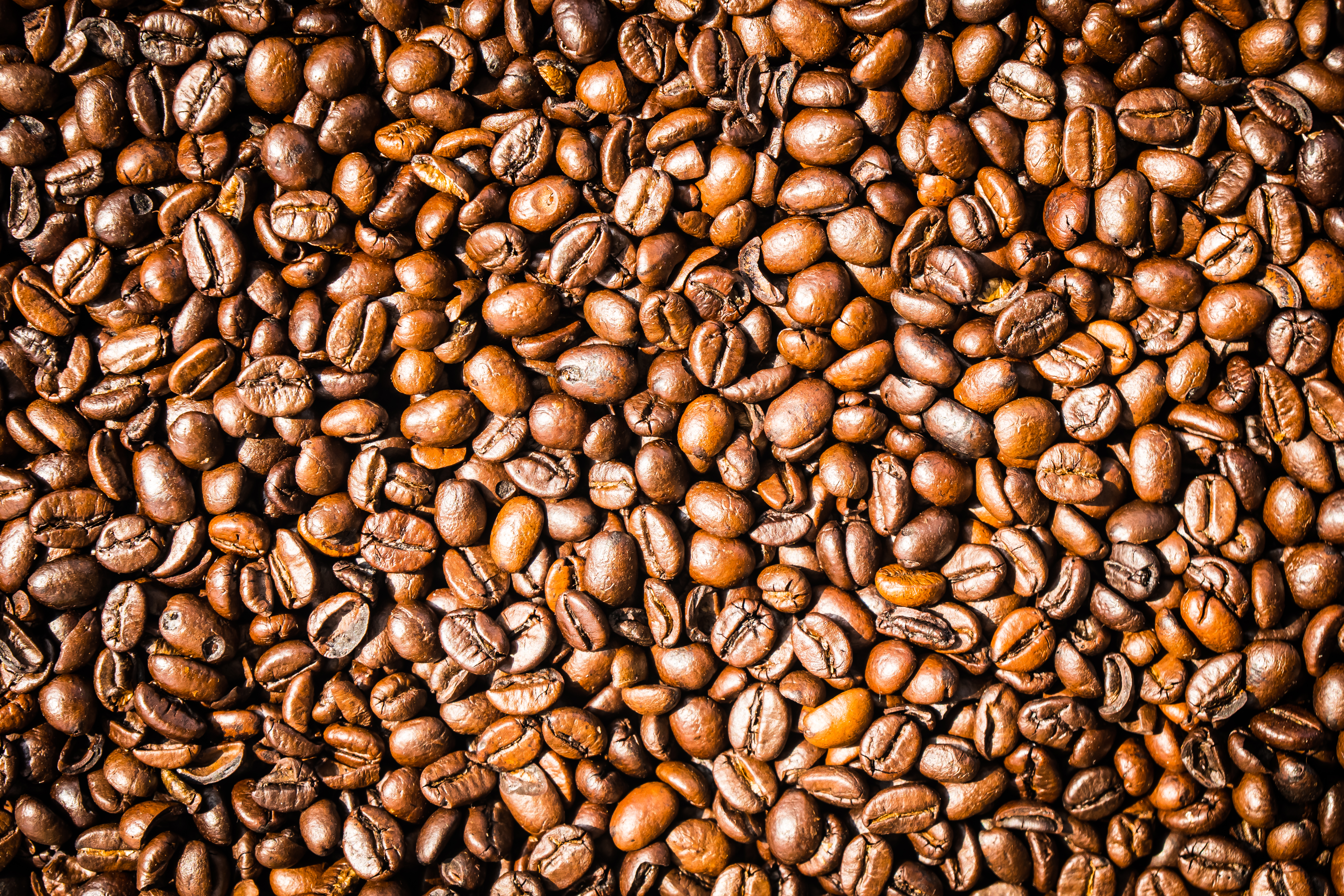 Produção mundial de café aumentou 34% nos últimos anos