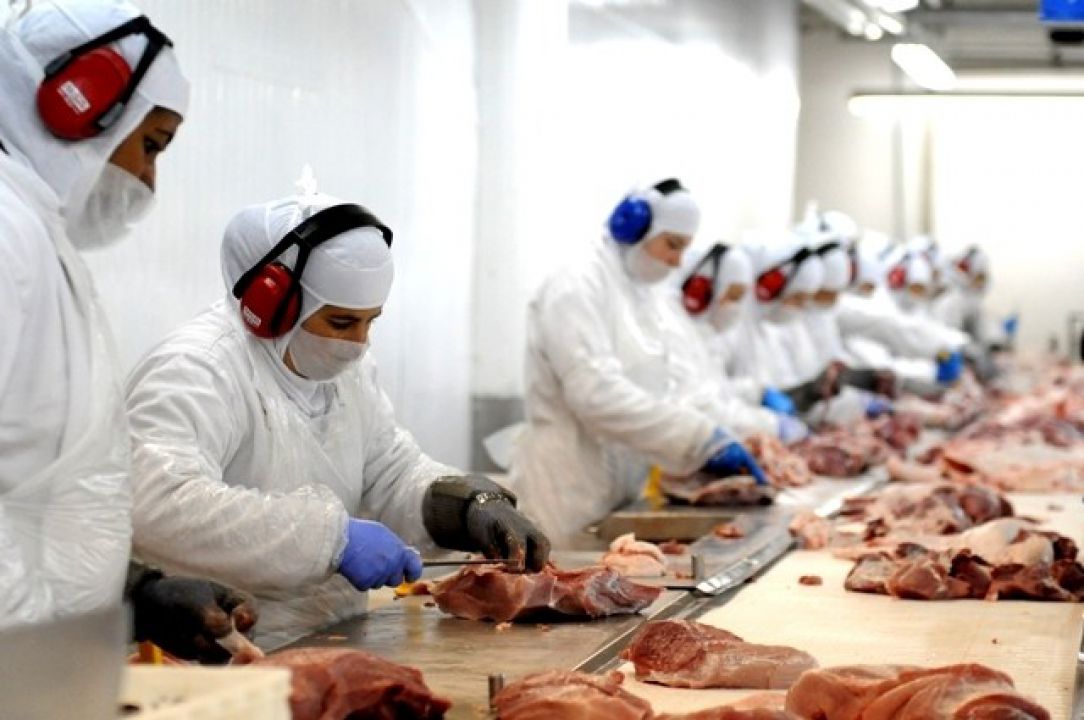 Centro-Oeste é a região que mais oferece empregos no agronegócio
