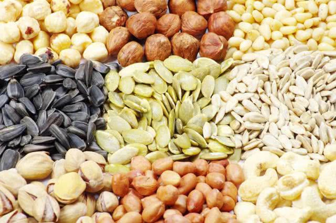 Pedidos para doação de sementes da agricultura familiar já podem ser enviados para Conab