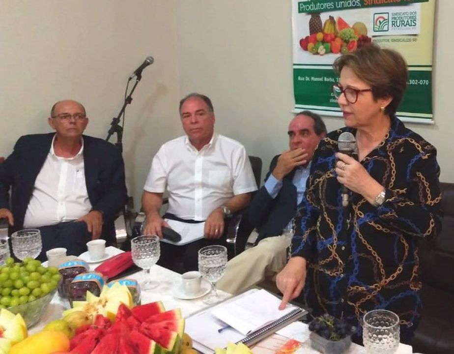 Tereza Cristina quer novos mercados para exportar frutas do Brasil