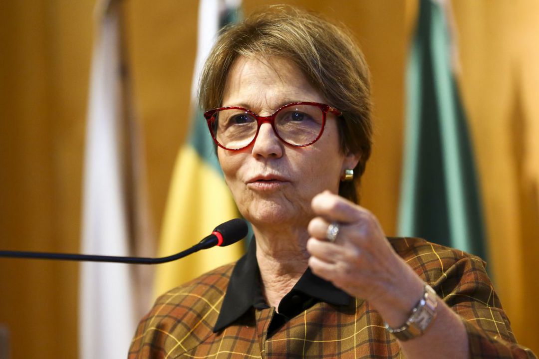 Tereza Cristina acredita em visita de chineses ao Brasil para vistoriar frigoríficos