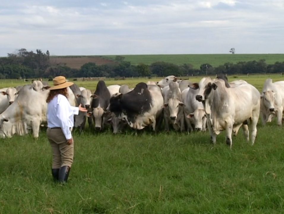 Livro sobre mulheres do agronegócio será lançado em outubro