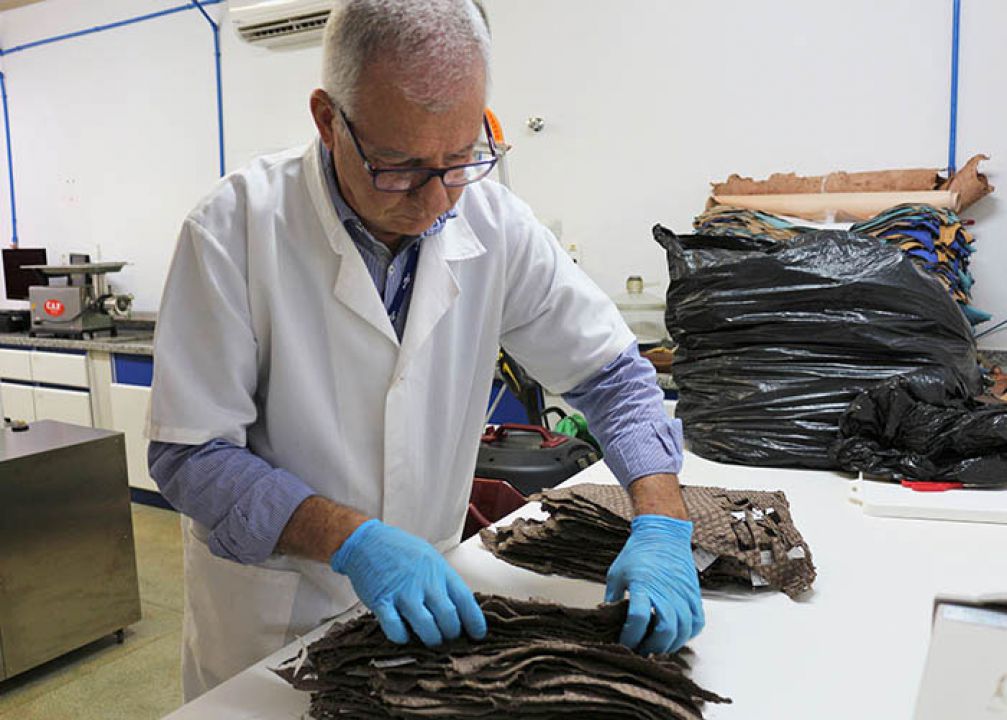 Cientistas desenvolvem método para testar resistência de couros de peixes