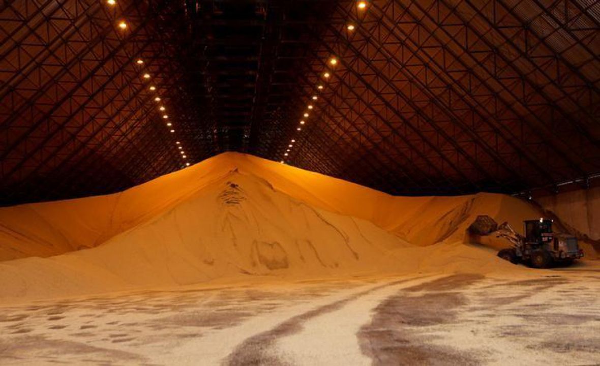 Colheita da soja brasileira atinge 83% da área plantada