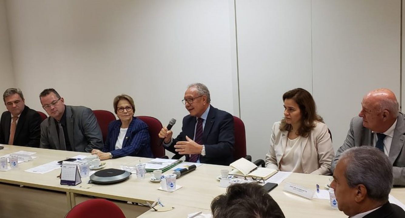 Tereza Cristina visita China em maio em busca de abertura de mercado para carne e soja