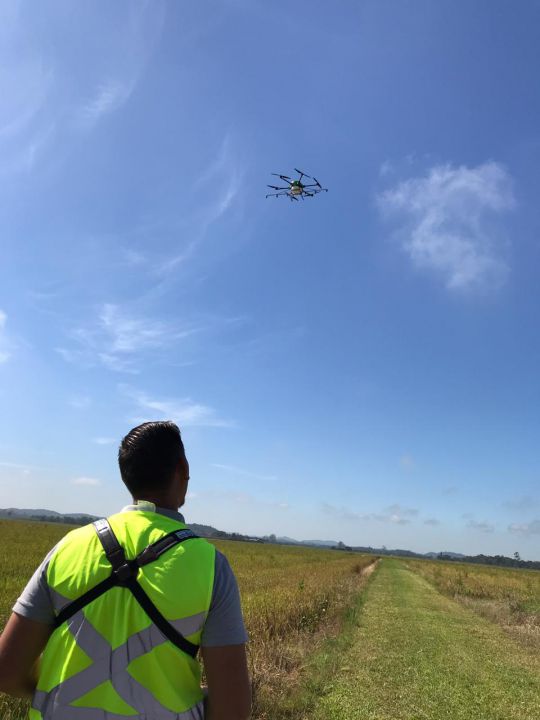 Drone na lavoura: inovação promete transformar a rizicultura