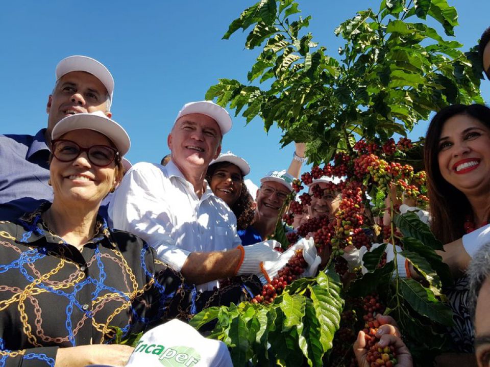 Ministra Mapa participa da abertura da colheita de café no ES