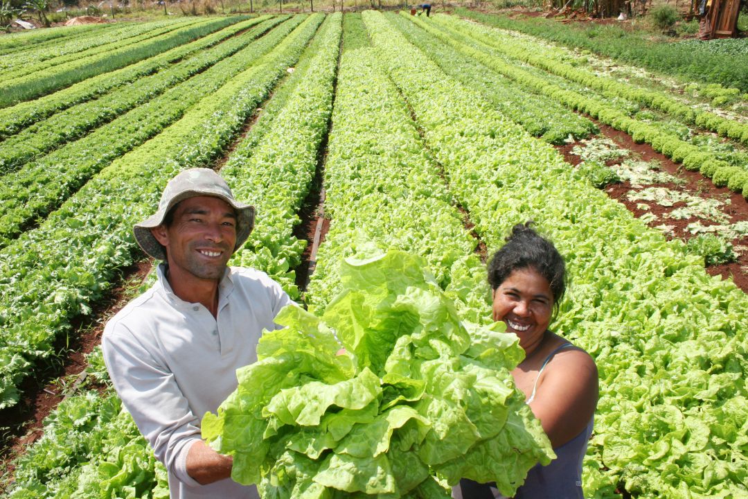 Bônus do PGPAF calculado pela Conab paga mais para produtos do Norte-Nordeste