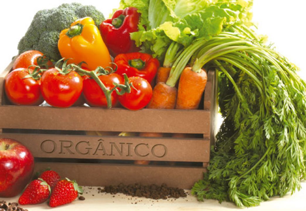 Brasil fecha acordo com Chile para exportação de produtos orgânicos