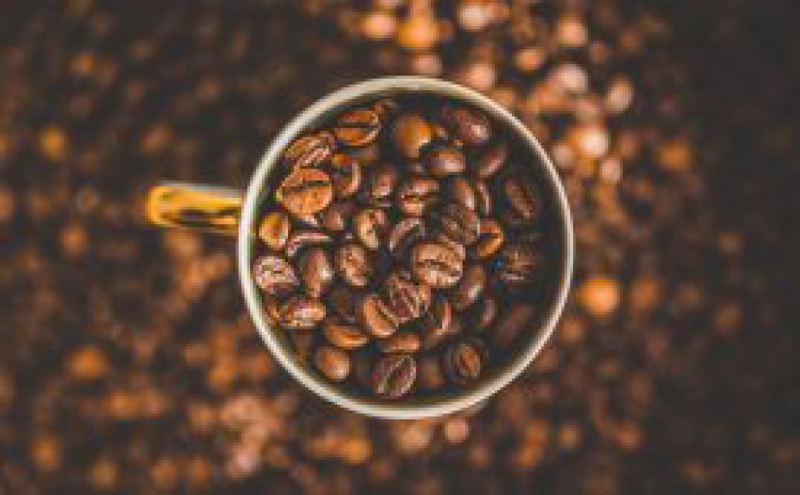 Colheita da safra de café atinge 16% no Brasil
