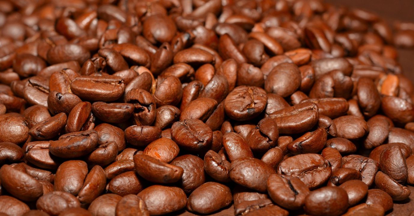 Brasil deve colher 17% menos sacas de café em 2019