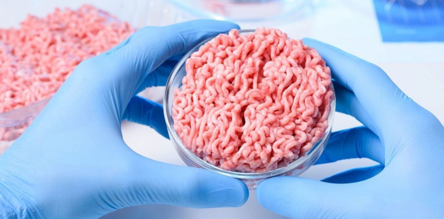 Rótulo de carne em proteínas vegetais é proibido pelo governo de Oklahoma 