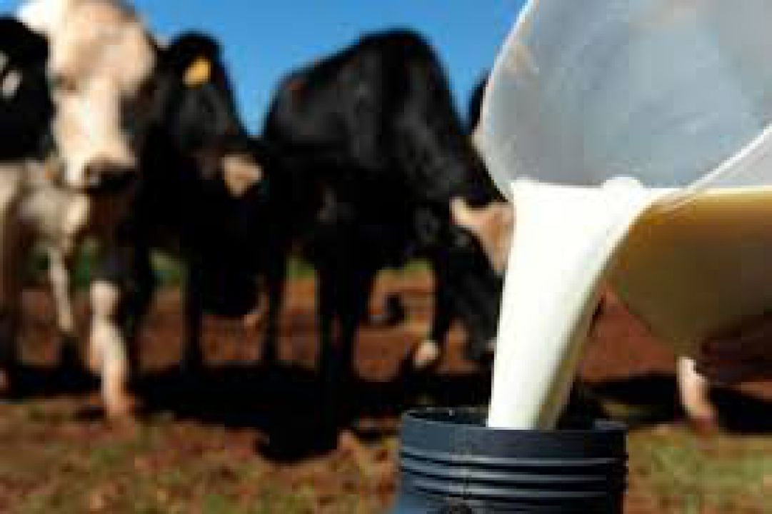 Cenário é positivo para os produtores de leite