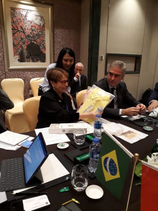 Tereza Cristina convida investidores chineses para visitar o Brasil