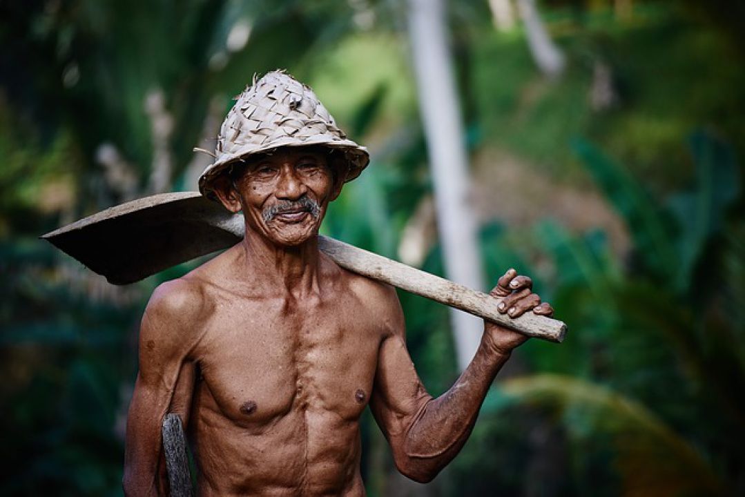 Feliz dia do Trabalhador