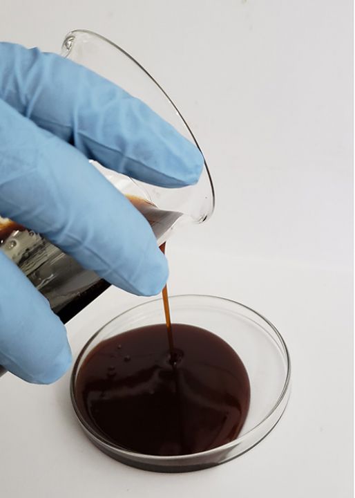 Embrapa apresenta estudo com extração de substância antimicrobiana da casca da castanha do caju