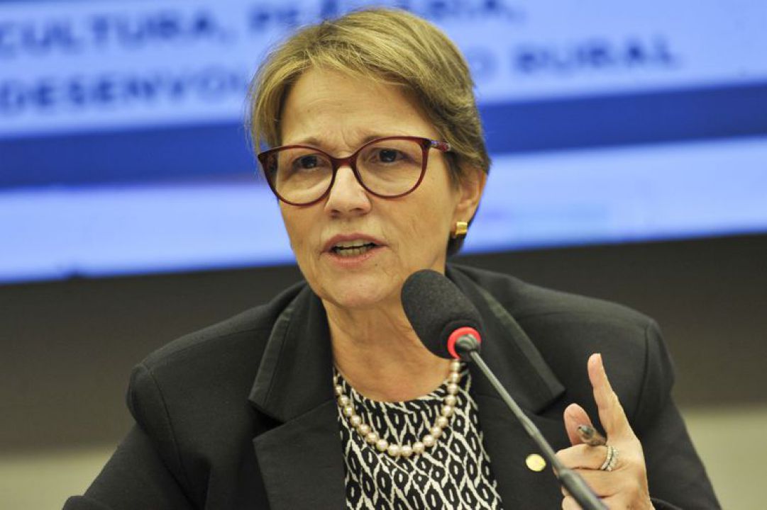 Ministra do Mapa reitera que surto de peste suína na China representa oportunidade para o Brasil
