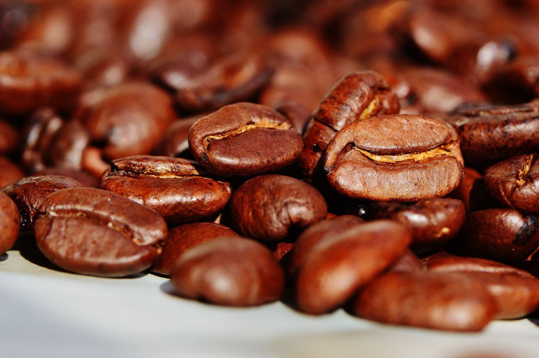 Cotações do café arábica tem elevação acima dos R$ 27 a saca em sete dias