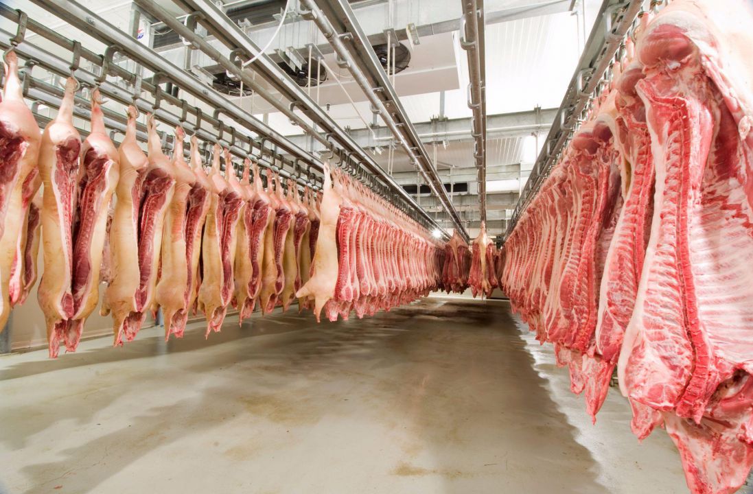 Demanda externa de suínos aquecida aponta elevação nos preços da proteína embarcada