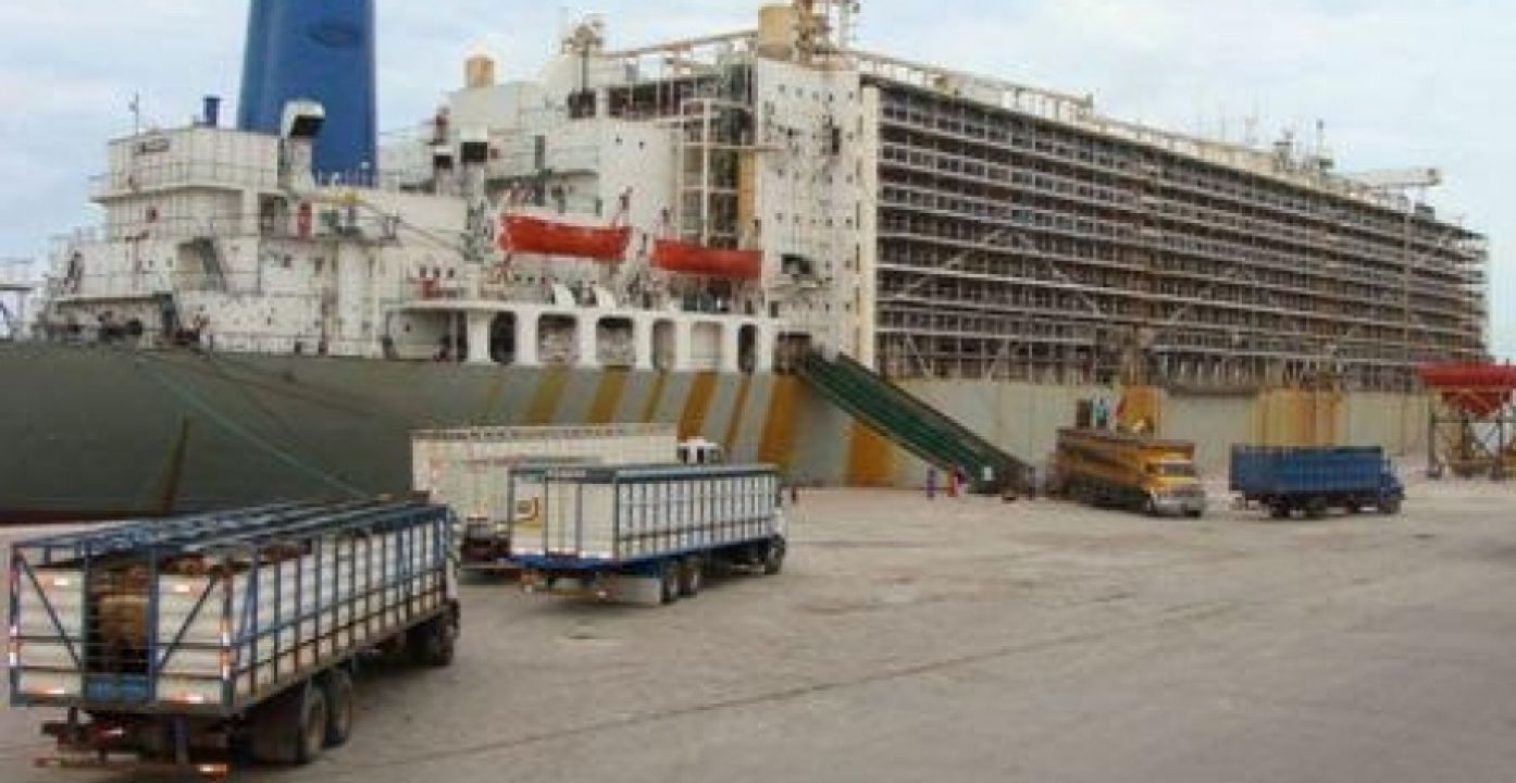Avançam negociações para exportação de gado vivo para Laos