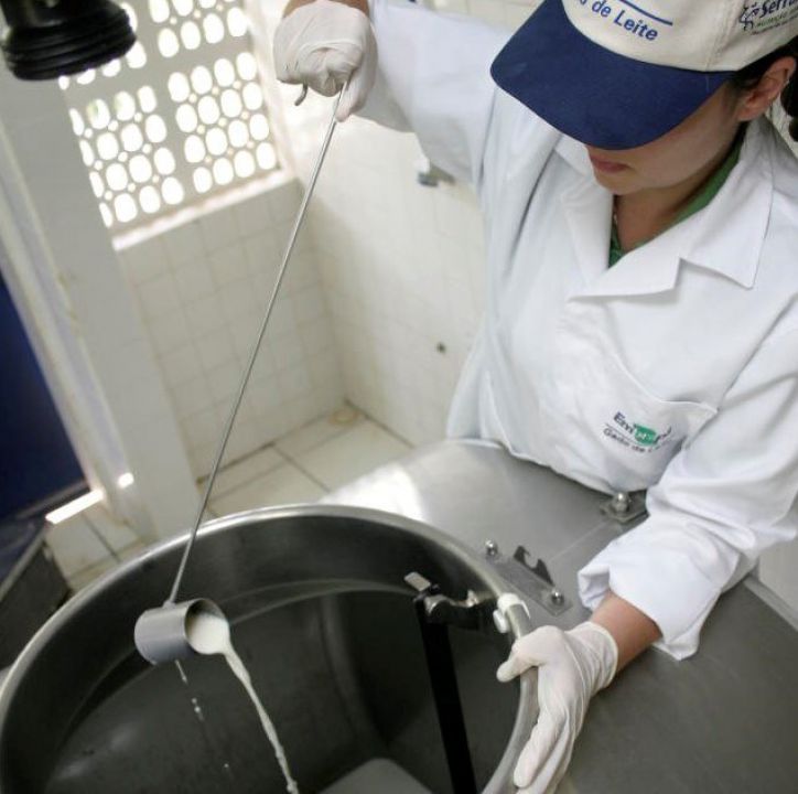 MAPA emite alerta para riscos do consumo de leite cru