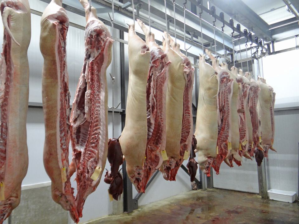 Mês de maio com custos de produção de suínos baixa e frango mais caro