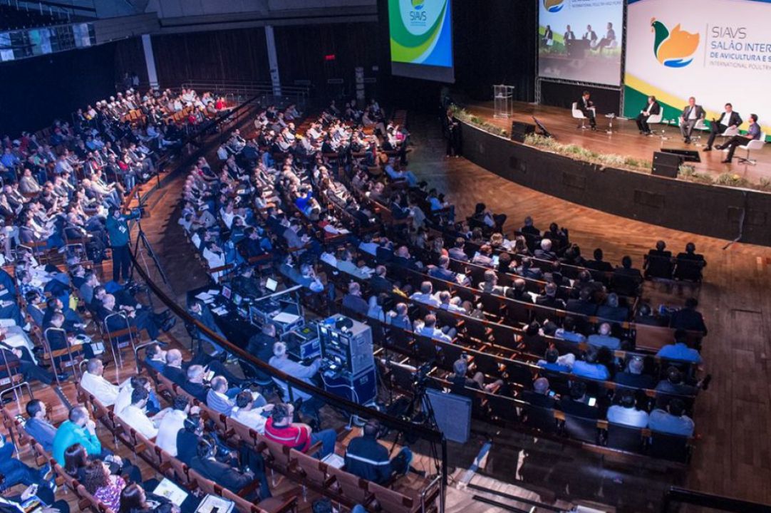 SIAVS 2019 terá painel de discussão sobre competitividade de grãos e proteínas