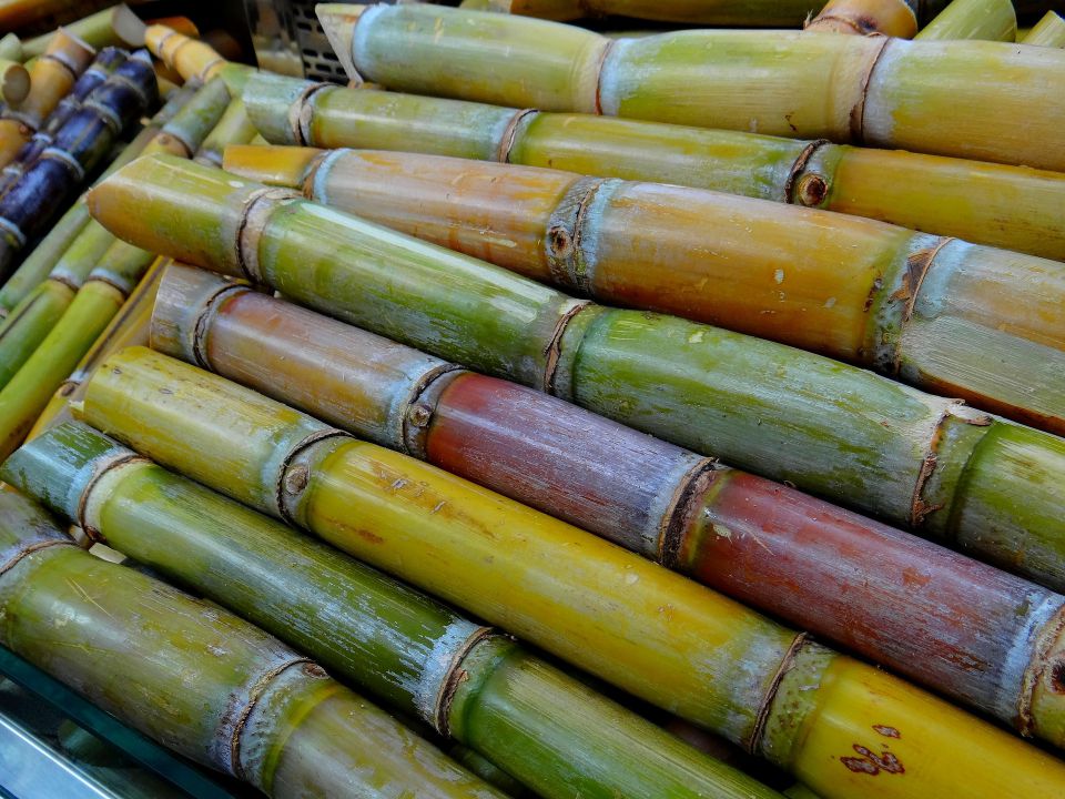 Tendência de maior produção e venda de etanol na safra 2019/20 é confirmada através de dados parciais