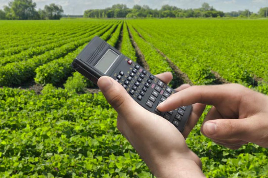VBP do Agro deve ficar estável em 2019
