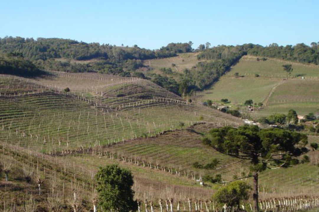 Produtos típicos brasileiros devem ser protegidos no acordo Mercosul-UE