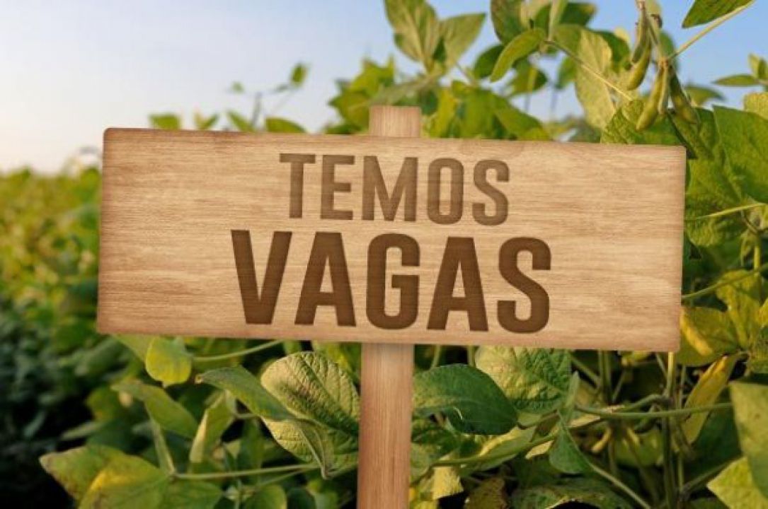Agro gerou 22 mil postos de trabalho em junho