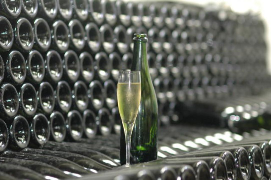 Fundo para modernização do setor do vinho será criado