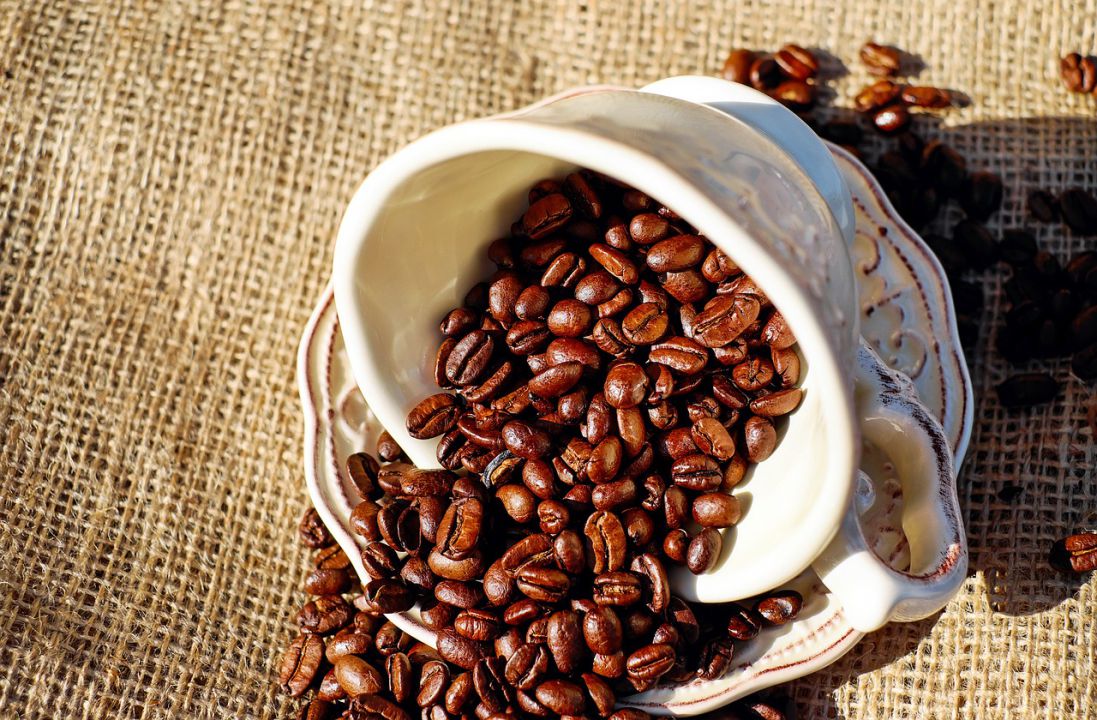 Cotações do café arábica com pressão