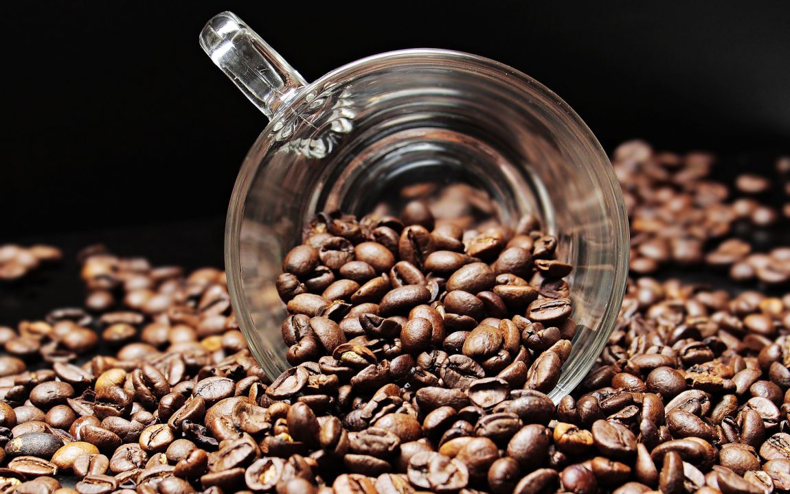 Renda e sustentabilidade econômica  serão temas do Fórum Mundial de Produtores de Café 