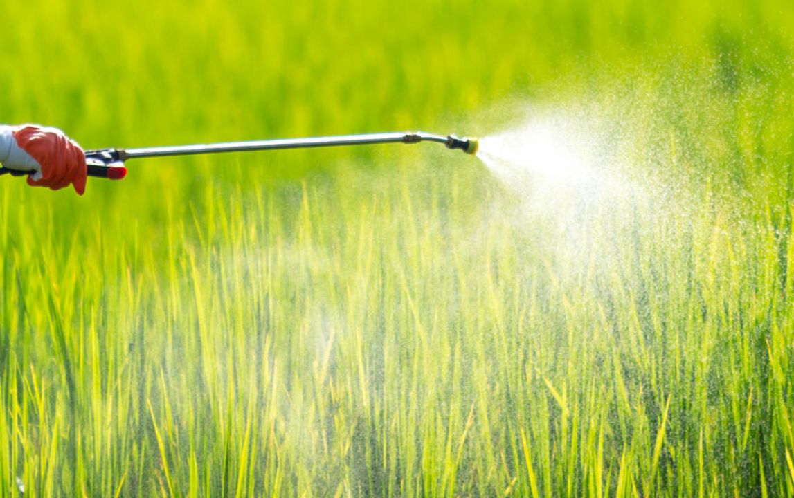 Governo impõe restrições de uso a novos defensivos