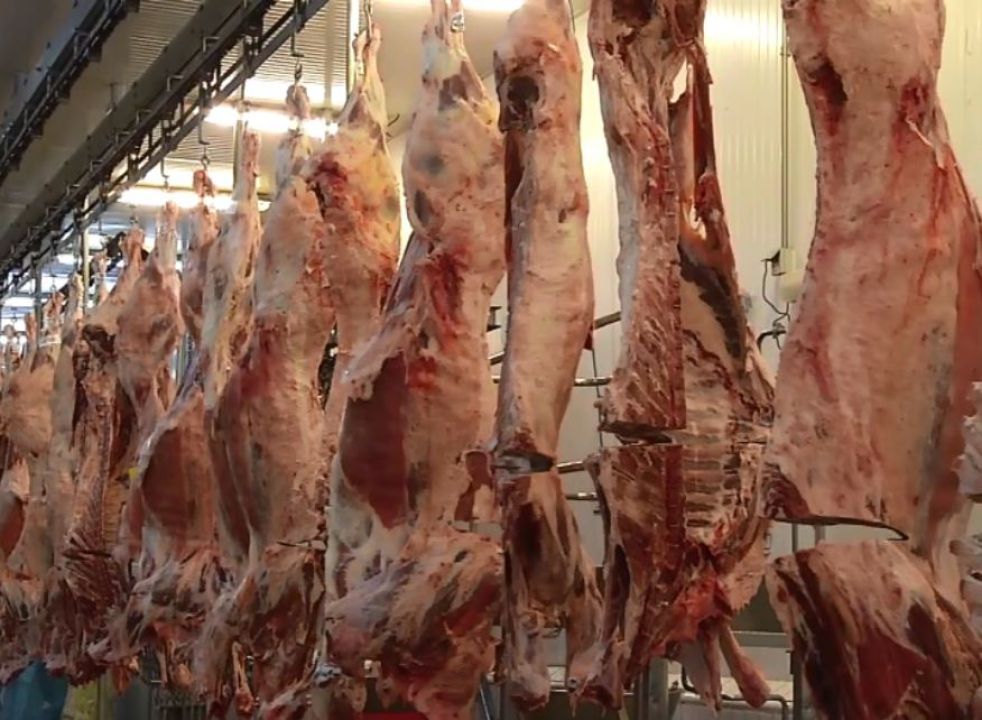Vietnã  busca frigoríficos brasileiros aptos a exportar carne bovina